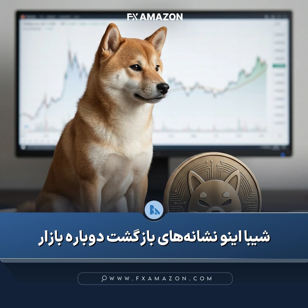 نمودار روزانه جفت‌ارز SHIB/USDT که بازگشت قیمت شیبا اینو از محدوده حمایت ۰٫۰۰۰۰۰۴۳ دلار و احتمال حرکت به سوی میانگین نمایی ۵۰روزه را نشان می‌دهد
